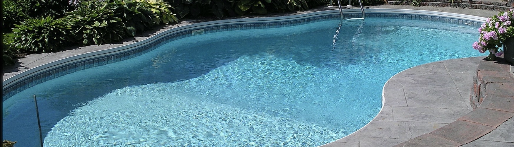 algae build up in pool